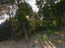 Działka leśna Grzegorzewice. Zdjęcie 3