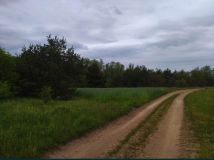 Działka rolna Świerczyna. Zdjęcie 2