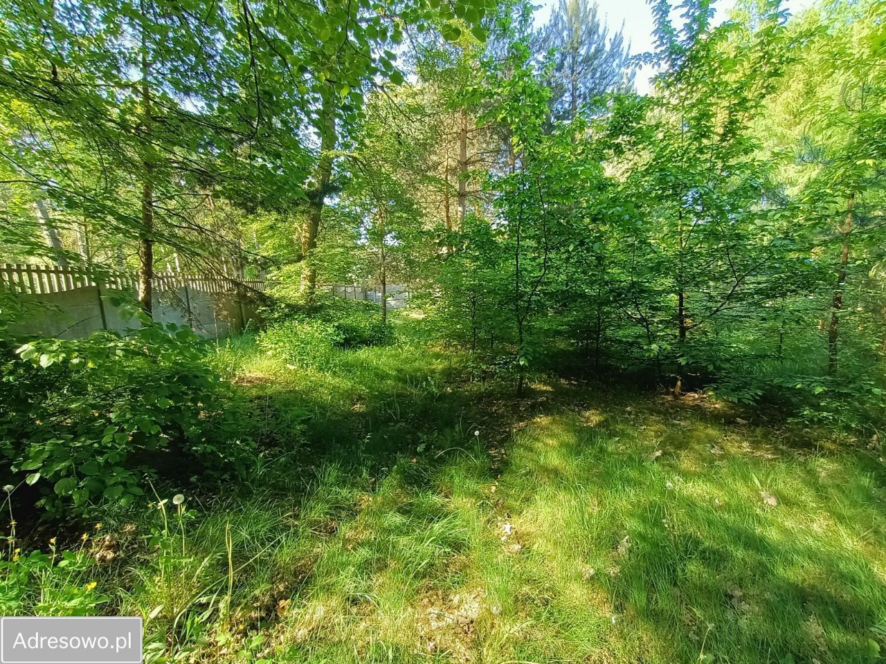 Działka Stara Wieś. Zdjęcie 2