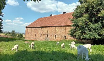 Działka rolno-budowlana Wilków Wielki