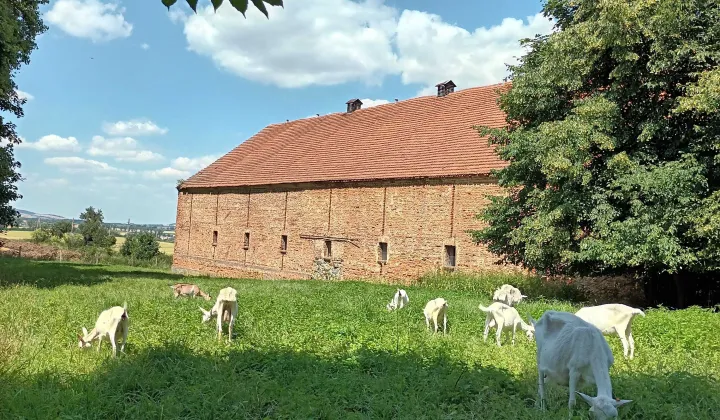 Działka Wilków Wielki