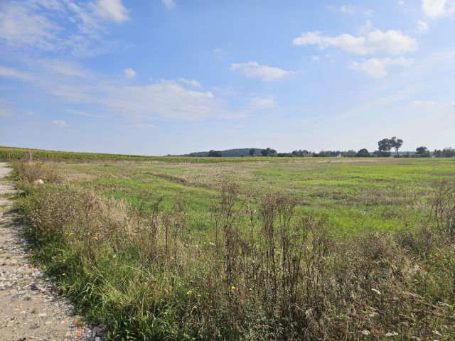 Działka rolno-budowlana Smogorzewo. Zdjęcie 1