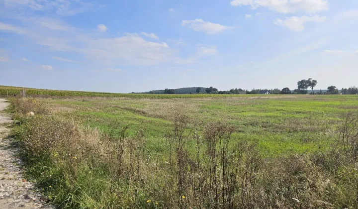 Działka rolno-budowlana Smogorzewo