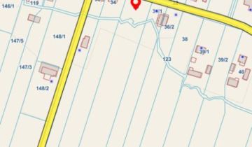 Działka siedliskowa Pniowe