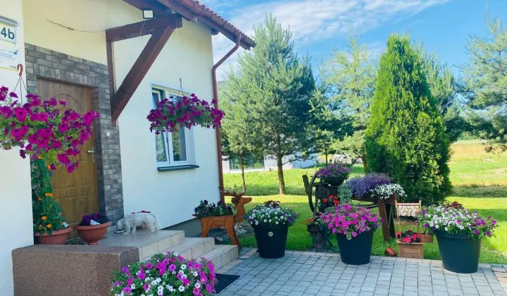 dom wolnostojący, 5 pokoi Szczepanów