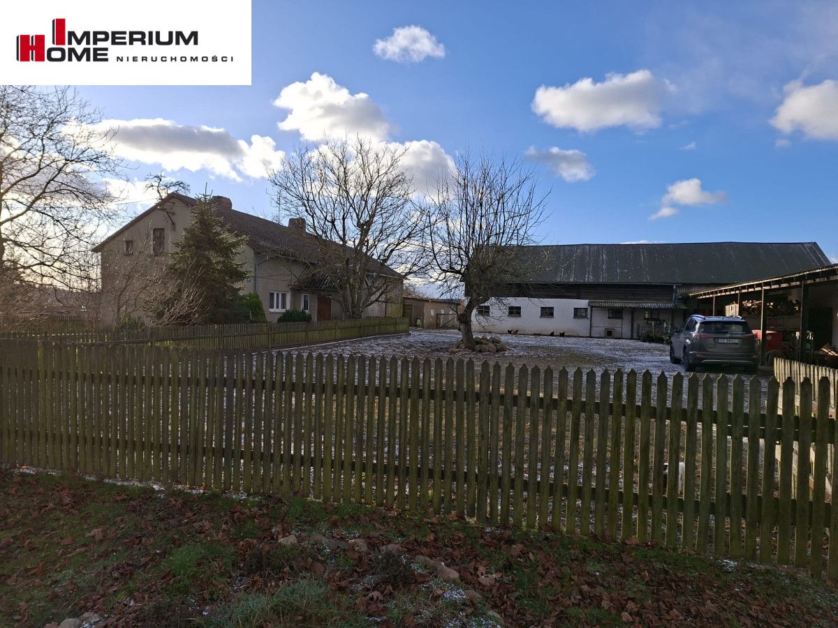 Działka rolna Janiewice. Zdjęcie 8