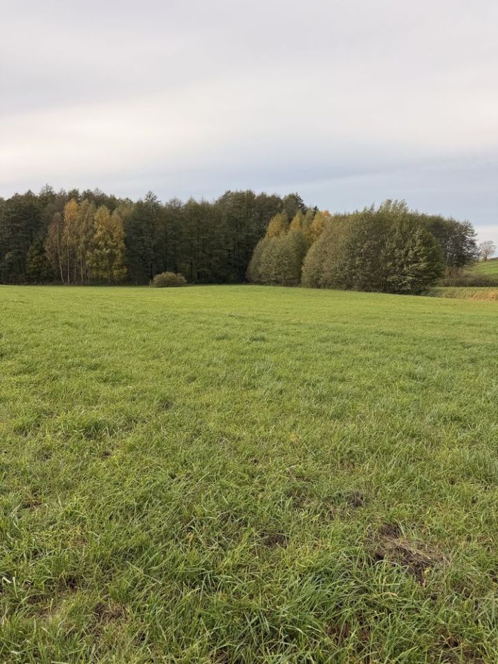 Działka budowlana Złotowo. Zdjęcie 2