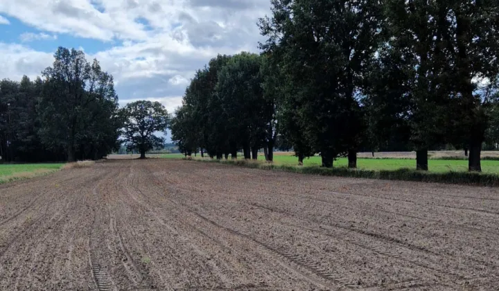 Działka budowlana Psucin