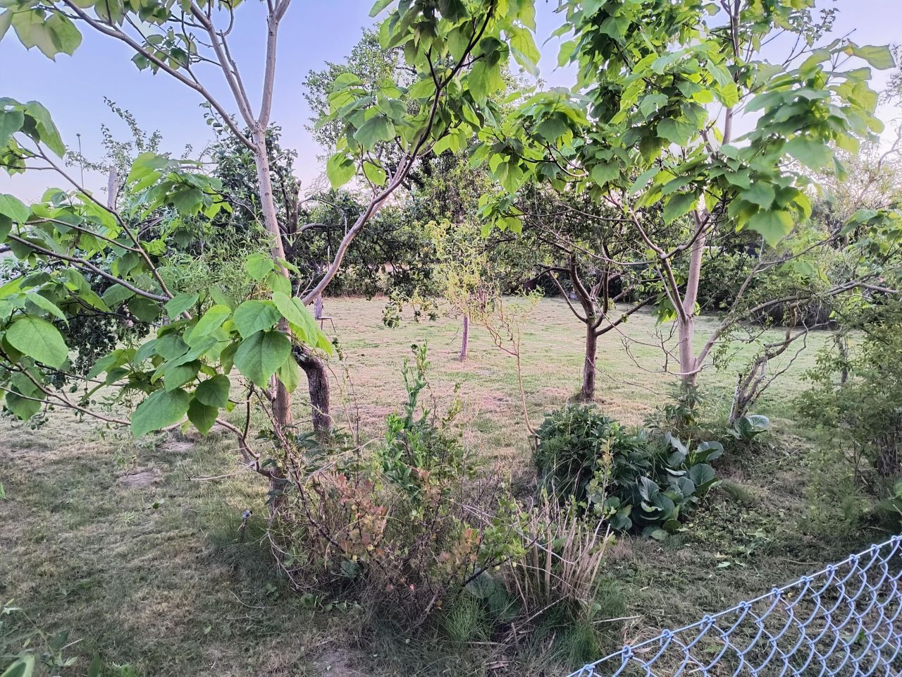 Działka rod Gdańsk Rębiechowo, ul. Nowatorów. Zdjęcie 9