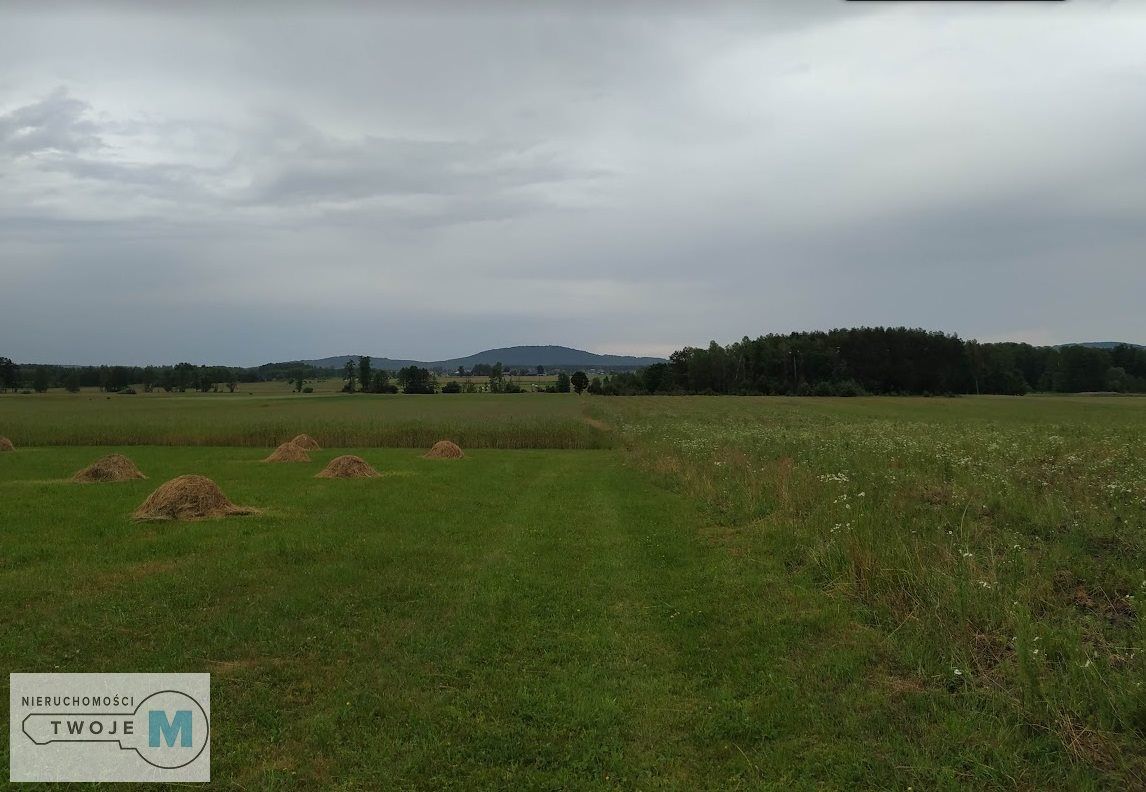 Działka leśna Korczyn. Zdjęcie 9