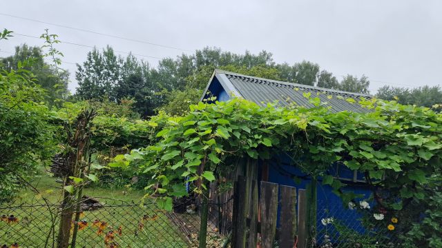 Działka rod Olsztyn Track, ul. Marii Zientary-Malewskiej. Zdjęcie 1