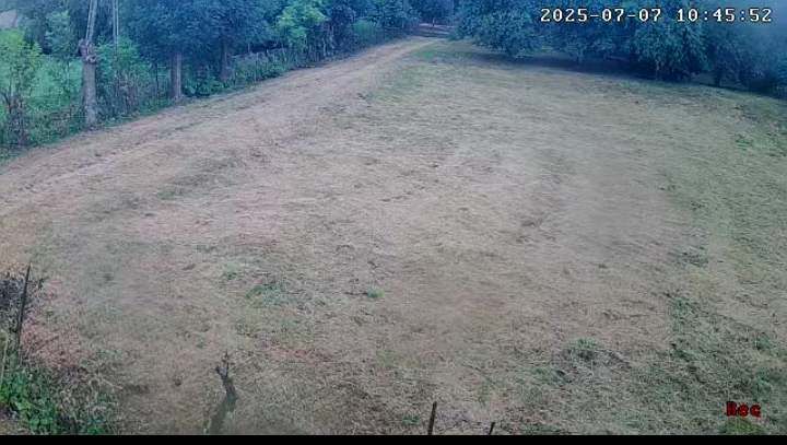 Działka rolno-budowlana Marzęcino, Główna. Zdjęcie 7