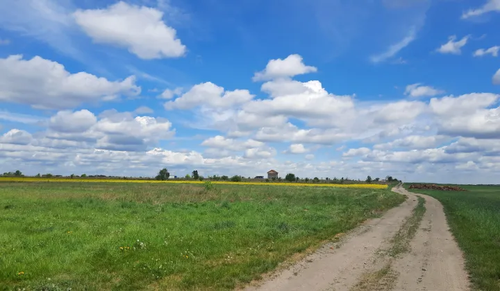 Działka budowlana Mazurowice, os. Kolonia