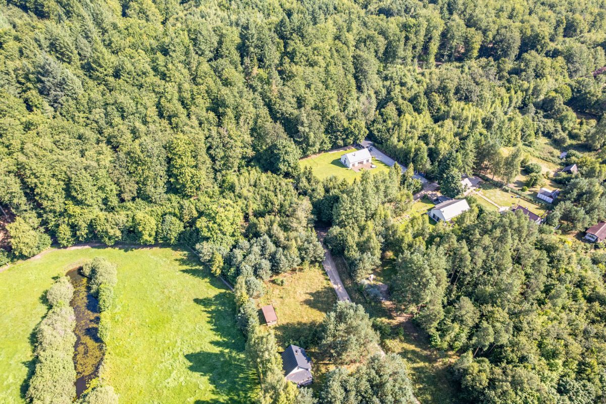 Działka inwestycyjna Szymbark, ul. Leśna. Zdjęcie 8