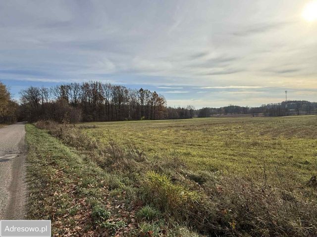 Działka budowlana Pokrzywnica, ul. Wiosenna. Zdjęcie 1