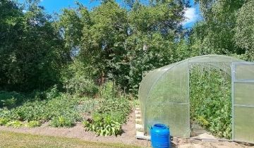 dom wolnostojący Kościuki