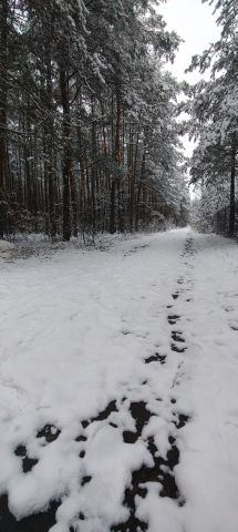 Działka rekreacyjna Cyganówka. Zdjęcie 1