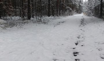 Działka rekreacyjna Cyganówka