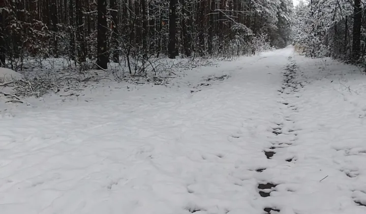 Działka rekreacyjna Cyganówka