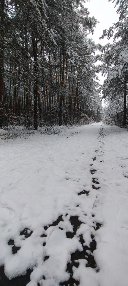 Działka rekreacyjna Cyganówka