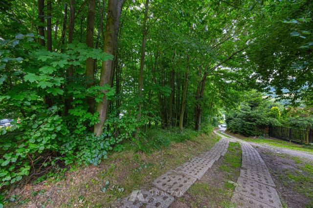 Działka leśna Bystrzyca Górna. Zdjęcie 6