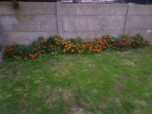 Działka rolna Częstochowa Wyczerpy Górne, ul. Rędzińska. Zdjęcie 3