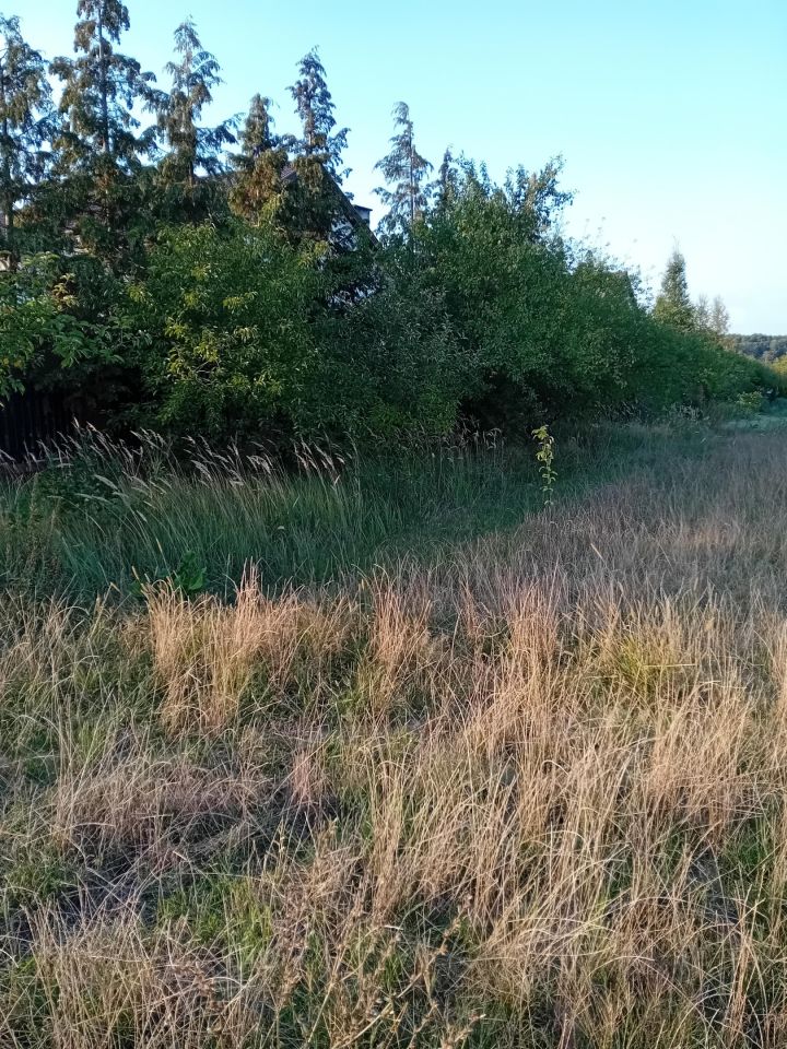 Działka rekreacyjna Woroniec. Zdjęcie 5