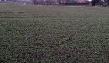 Działka na sprzedaż bez pośredników          
          
            Rozbórz - View 4
