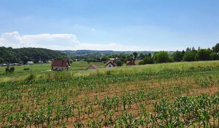 Działka rolno-budowlana Zerwana