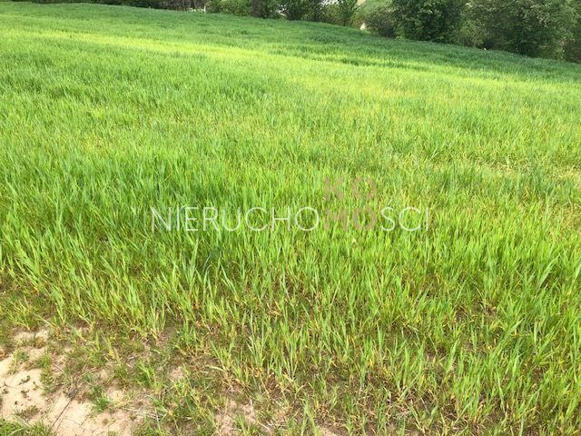 Działka budowlana Brochocin, ul. Malinowa. Zdjęcie 10