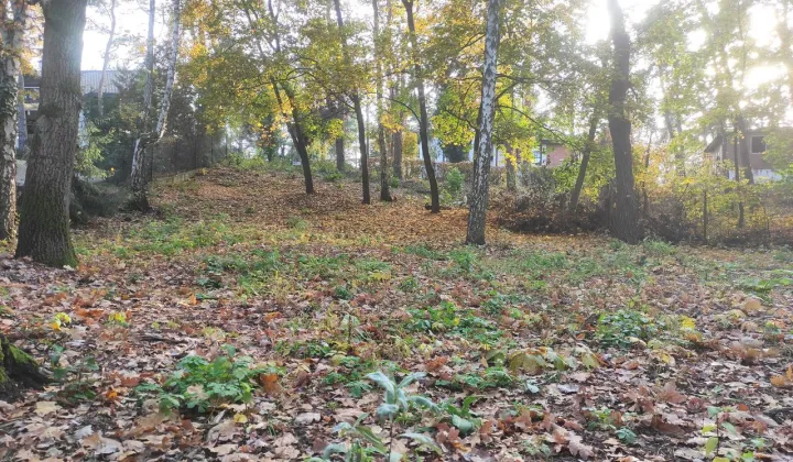 Działka budowlana Łomianki Łomianki-Dąbrowa, ul. Łyżwiarska