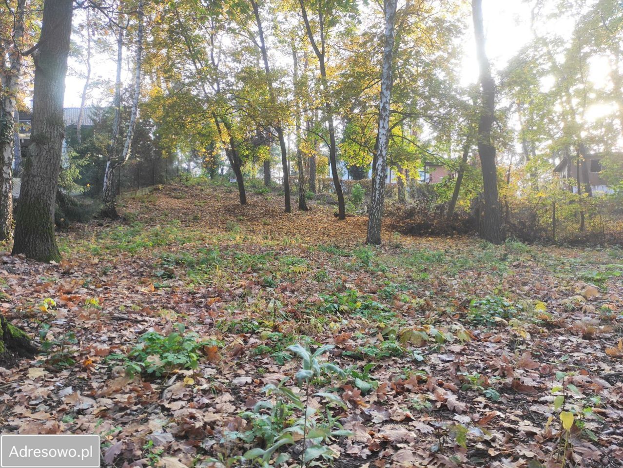 Działka budowlana Łomianki Łomianki-Dąbrowa, ul. Łyżwiarska