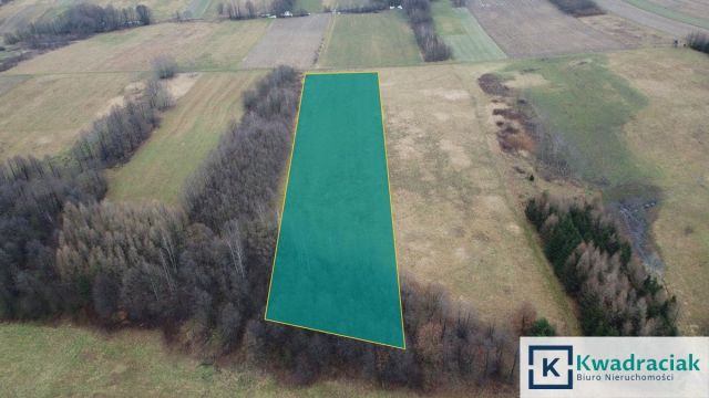 Działka rolna Stara Wieś Budy. Zdjęcie 1