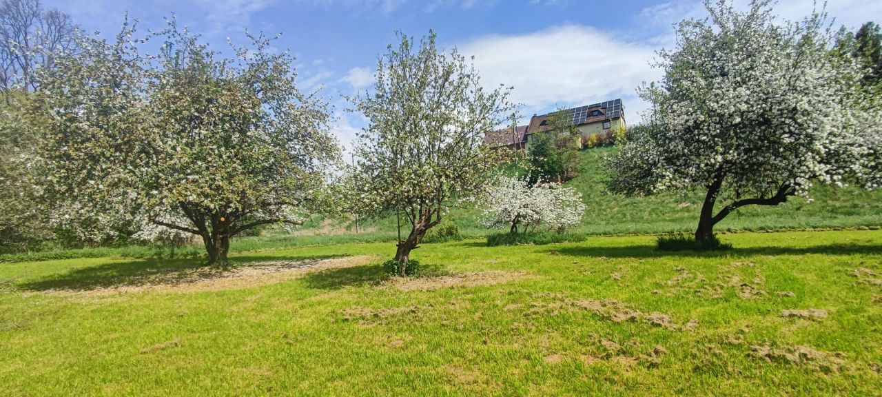 Działka budowlana Tłumaczów Tłumaczówek. Zdjęcie 6