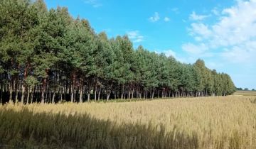 Działka leśna Niemierzyn