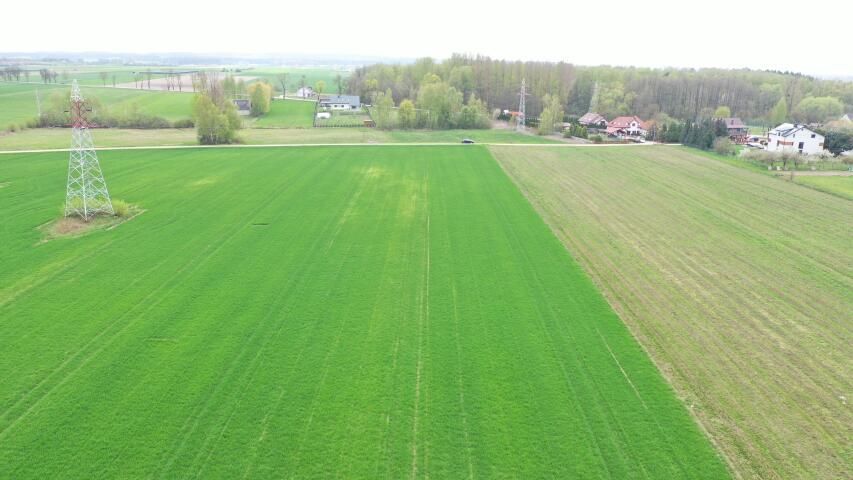 Działka budowlana Łomża, ul. Słonecznikowa. Zdjęcie 6