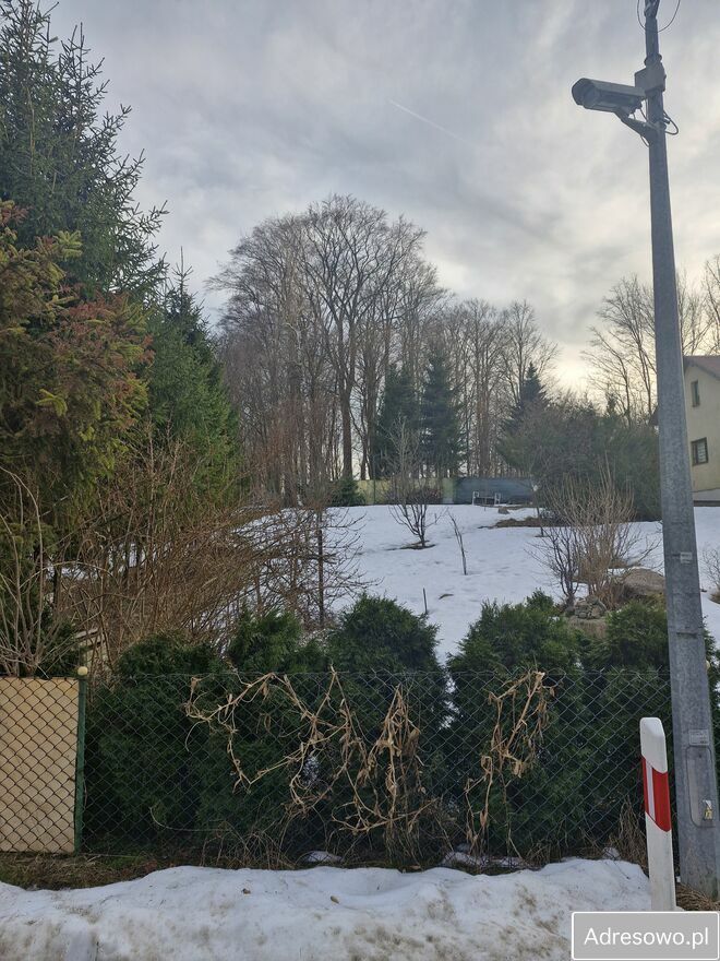 Działka rod Olszanka, ul. Porzeczkowa. Zdjęcie 3