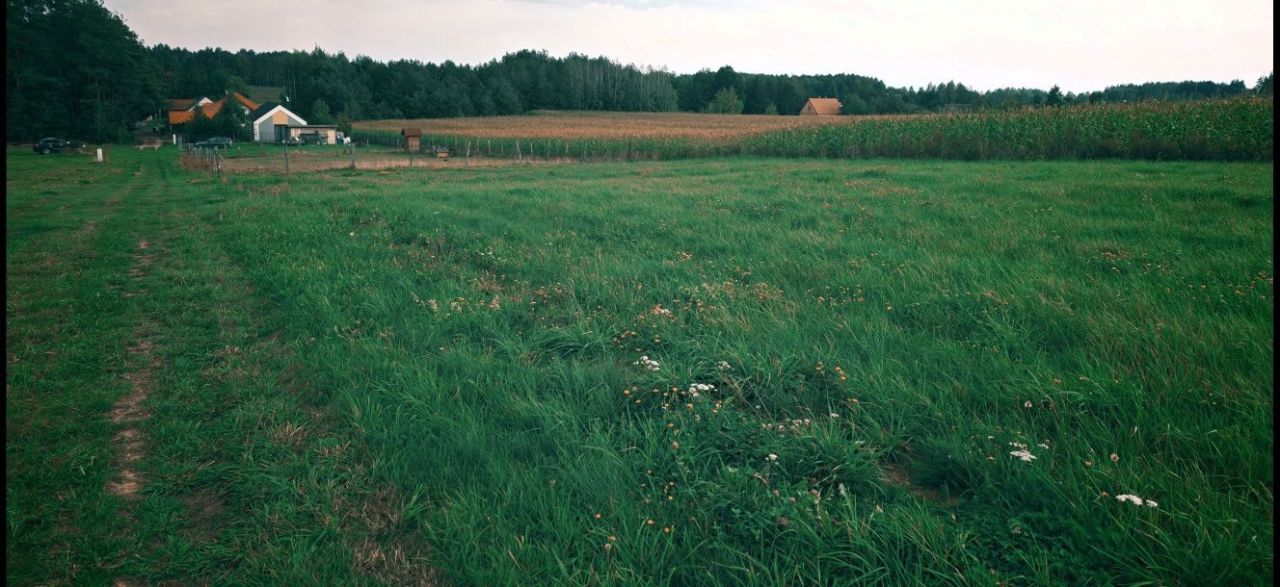 Działka rolno-budowlana Dobrzyniewo Duże, ul. Jodłowa. Zdjęcie 5