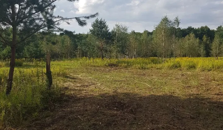 Działka budowlana Prościeniec