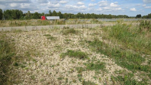 Lokal Starcza, ul. Szkolna. Zdjęcie 6