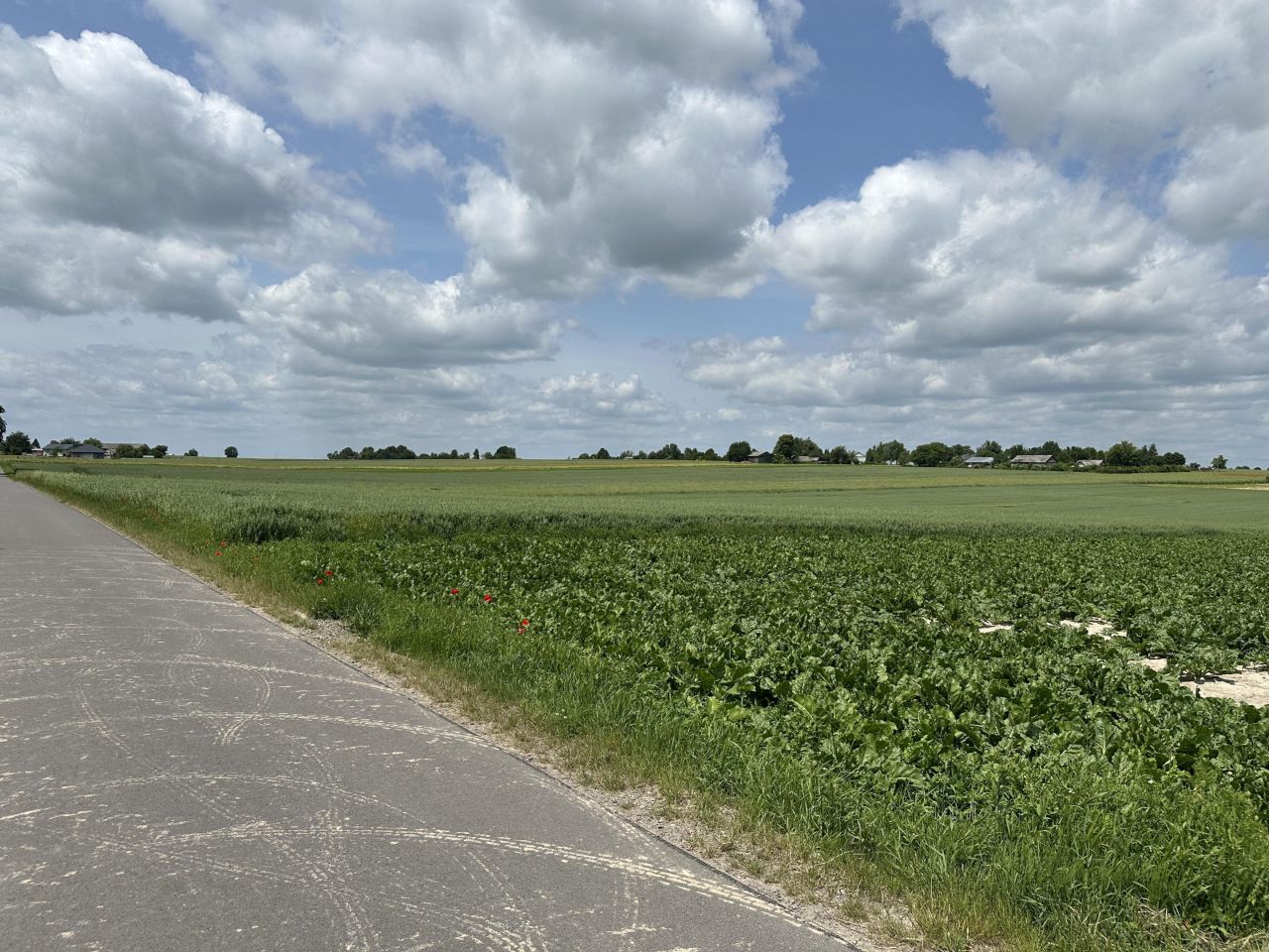 Działka rolno-budowlana Niedrzwica Duża, ul. Cicha. Zdjęcie 7