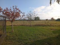 Działka rolna Okszów-Kolonia. Zdjęcie 3