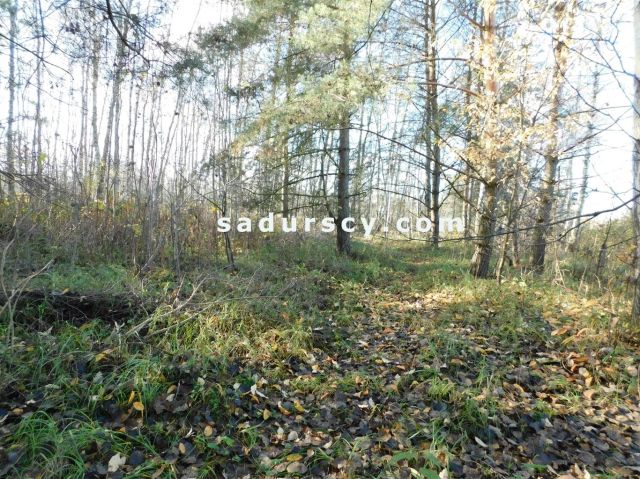 Działka budowlana Biały Ług. Zdjęcie 31