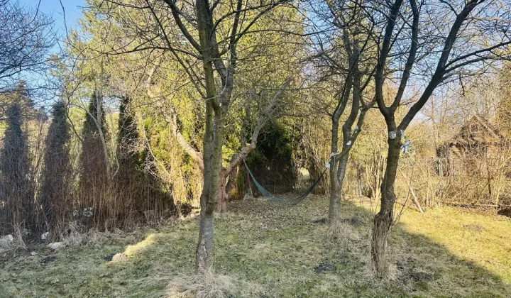 Działka rod Częstochowa Dźbów, ul. Leśna