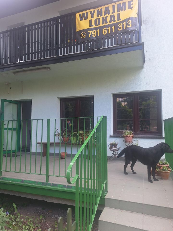 Lokal Łęczna Centrum, Piłsudskiego. Zdjęcie 1