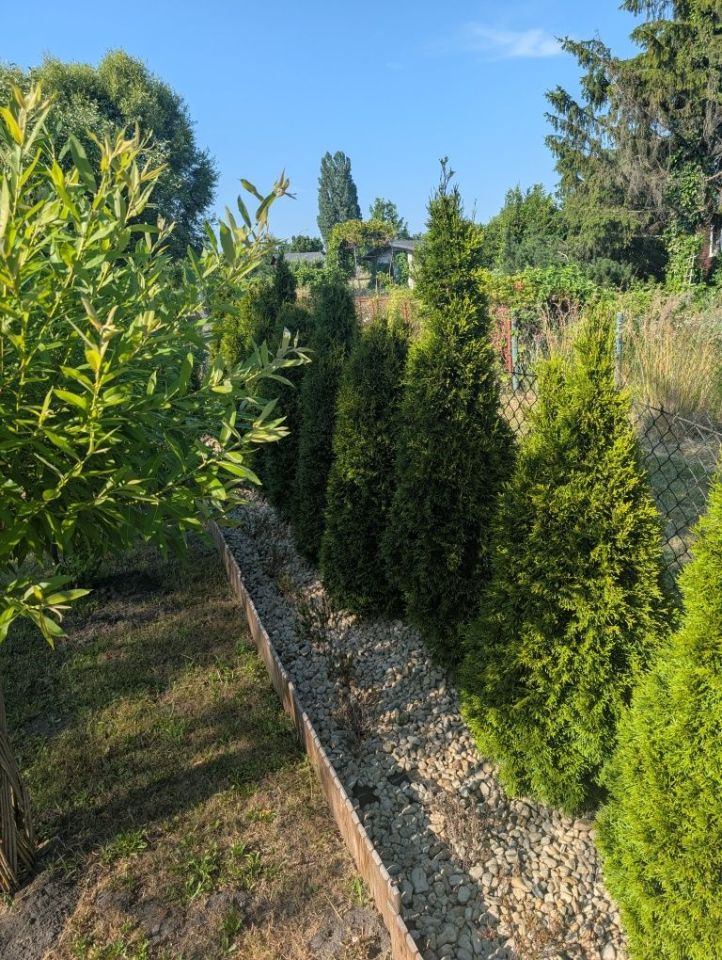 Działka rod Warszawa Włochy. Zdjęcie 4