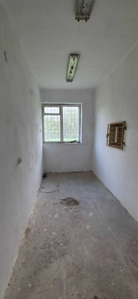 Działka rolno-budowlana Miejska Wola. Zdjęcie 8