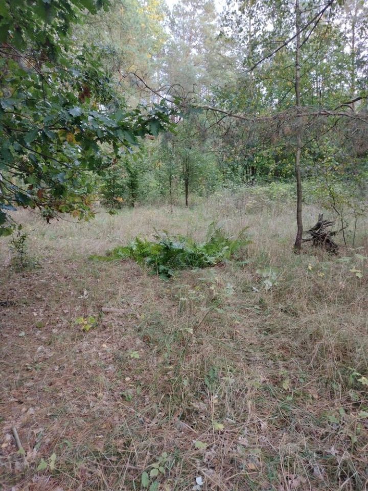 Działka budowlana Wełmin. Zdjęcie 4