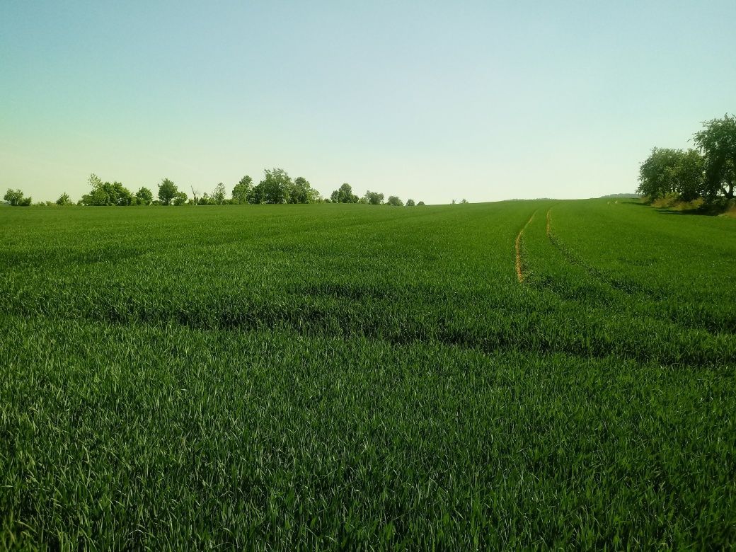 Działka rolna Rząśnik