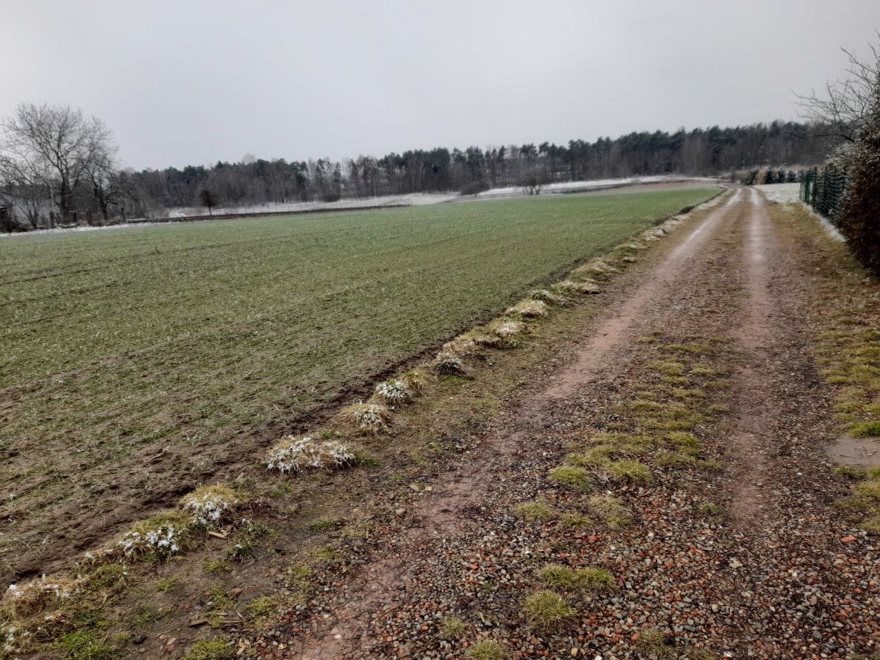 Działka budowlana Czarków